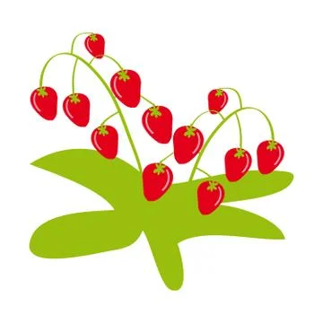 Strawberry on white background Stock Illustration