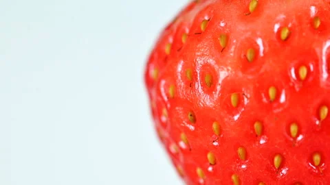 Strawberry on white background macro close up with copy space Stock Footage 301570439