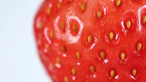 Strawberry on white background macro close up with copy space Stock Footage 301570498