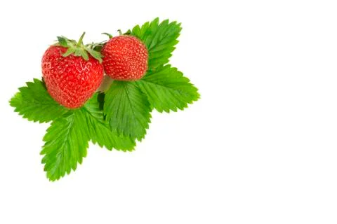 Strawberry on white background Stock Photos