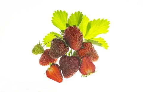 Strawberry on a white background Stock Photos