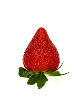 Strawberry on a white background Stock Photos