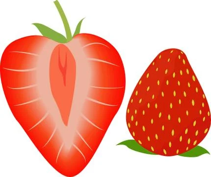 Strawberry whole and half. Vector illustration Illustrazione stock