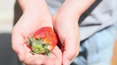 Strawberry2 Video stock 32328108