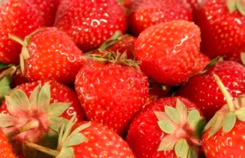 Strawberrys Stock Photos