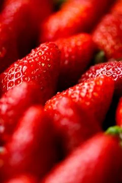 Strawberrys Stock Photos