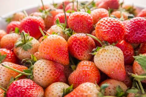 Strawbery Stock Photos