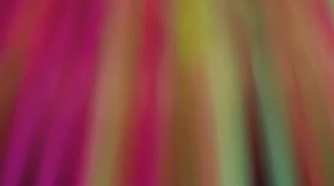 Straws appear in focus Stock Footage 21946613