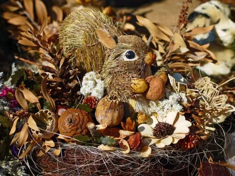 Straws squirrel with nuts and cones Stock Photos