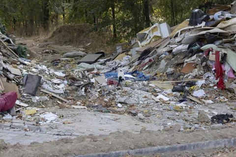 Stray cat walking through illegal garbage dump Fotos de archivo