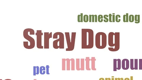 Stray Dog Wordcloud Animated On White Background 스톡 동영상 103558579