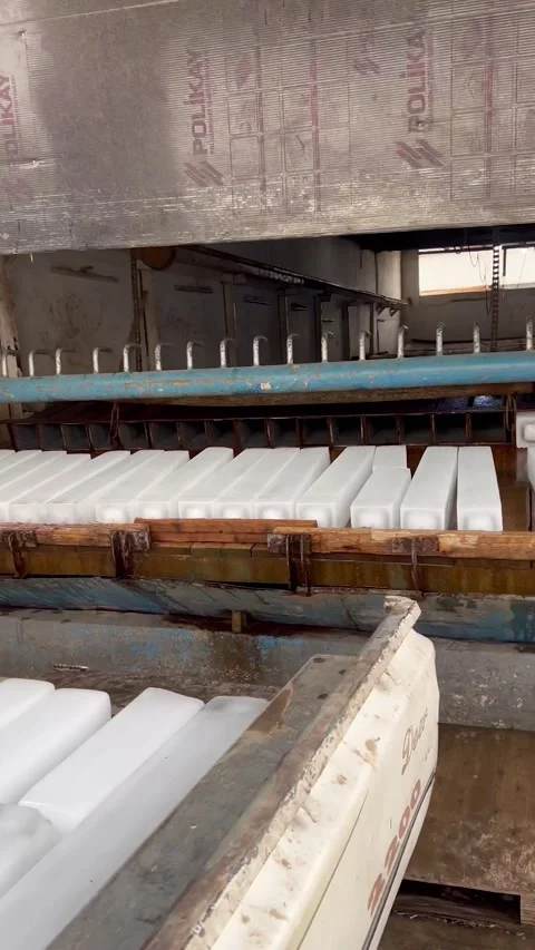 Stray Dogs In Iraq Given Ice Blocks To Stock Video Pond5