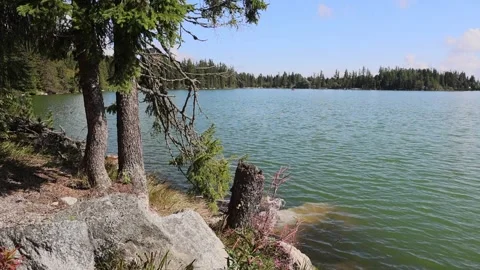 Strbske pleso 스톡 동영상 324966343