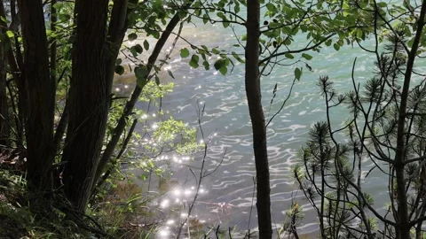 Strbske pleso 스톡 동영상 324966345