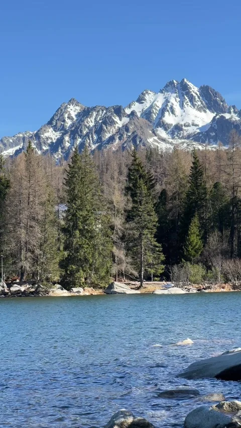 Štrbské Pleso with Forest, Mountains, and Blue Sky – Vertical Nature Video Video stock 307713982