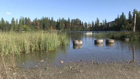 Strbske Pleso, Water Cane Stock Footage 104011047