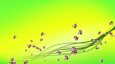 Streaks and Flowers Video stock 10894380