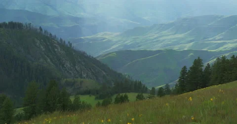 Streaks of sunlight over wildflowers Hells Canyon from Graves Point Stock Footage 67953111