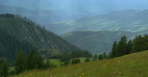 Streaks of sunlight over wildflowers Hells Canyon from Graves Point Stock Footage 67953631