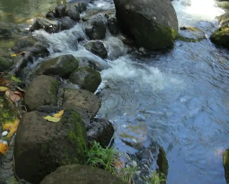 Stream 03 PAL Stock Footage 8529437