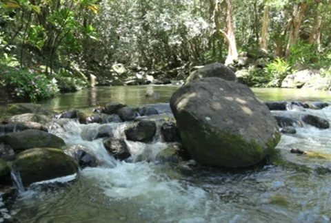 Stream 04 SD Stock-Footage 8531680