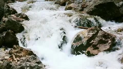 Stream 05 Loop 스톡 동영상 8989882