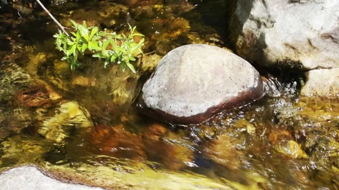 Stream 1 Stock Footage 142304306