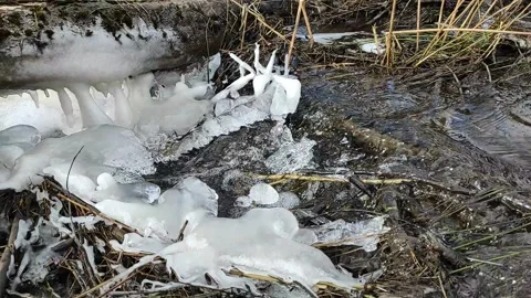 Stream (1) Full HD 60 FPS Stock Footage 268643587