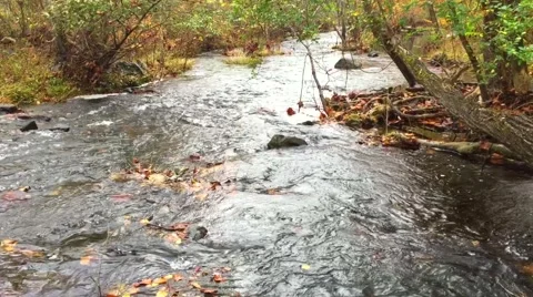 Stream-1, mountain, fast moving, rocky Stock Footage 57650683