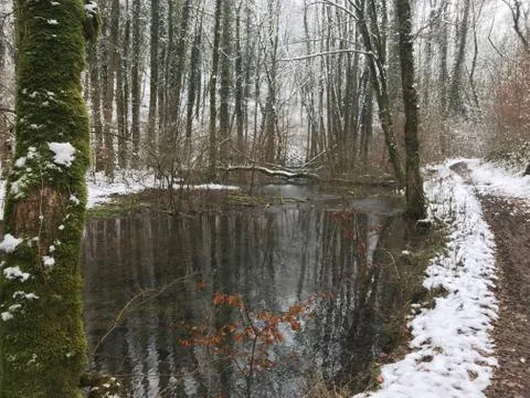 Stream 1 Foto stock