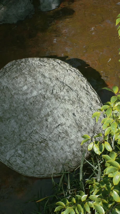 Stream 10 Stock Footage 317543569