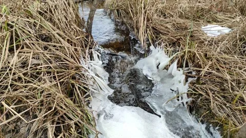 Stream (11) 4K 30 FPS Video stock 269460448