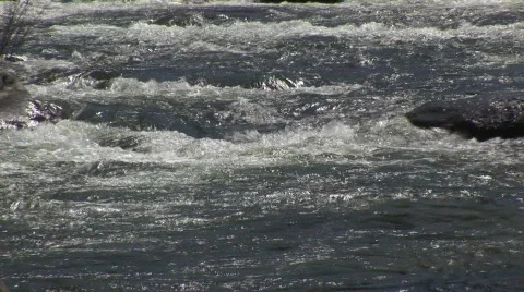 Stream 11 Vídeo Stock 476119