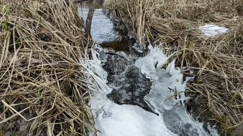 Stream (12) Full HD 60 FPS Stock Footage 269460830