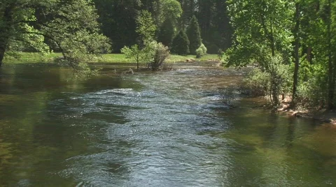 Stream 13 Stock-Footage 479582