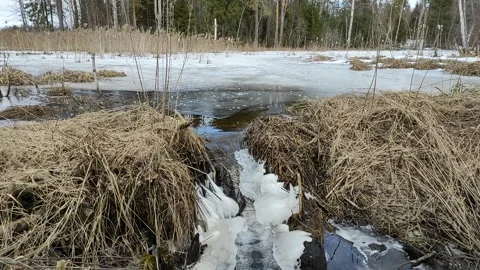 Stream (13) Full HD 60 FPS Video stock 269461353