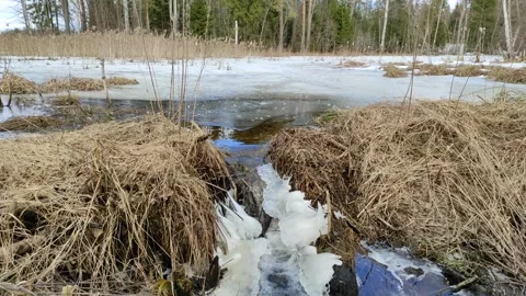 Stream (14) 4K 30 FPS Stock Footage 269462827