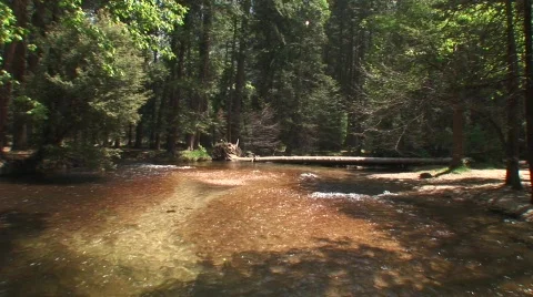 Stream 14 Stock Footage 479578