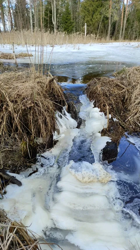 Stream (15) 4K 30 FPS Video stock 269464136