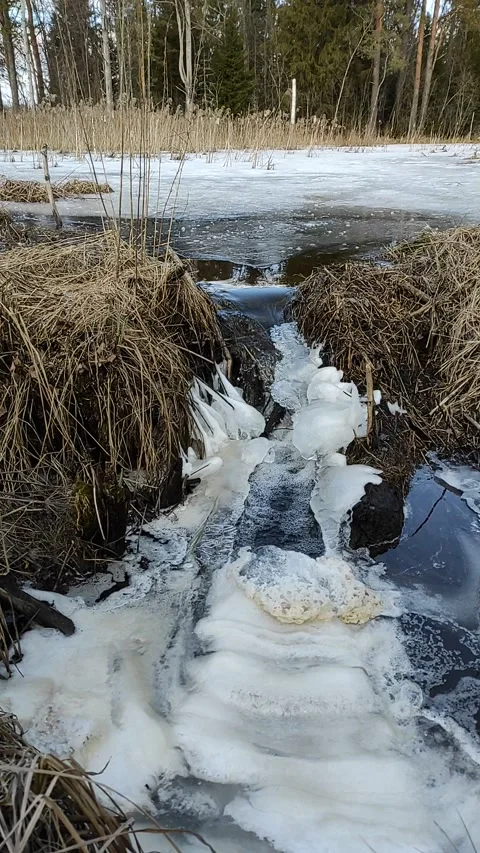 Stream (16) Full HD 60 FPS Stock Footage 269464677