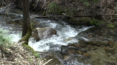 Stream 17 Stock-Footage 479558