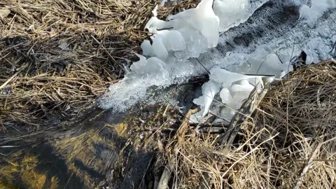 Stream (17) Full HD 60 FPS Stock Footage 269465241