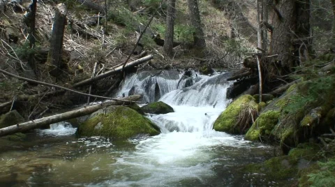 Stream 18 Vídeo Stock 479551