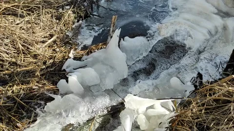 Stream (18) Full HD 60 FPS Stock Footage 269466202