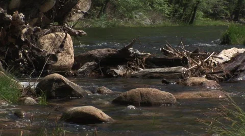 Stream 2 Stock Footage 476159