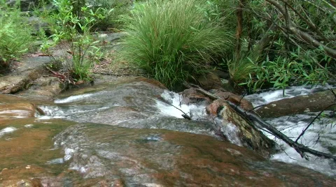 Stream 2 Stock Footage 508483