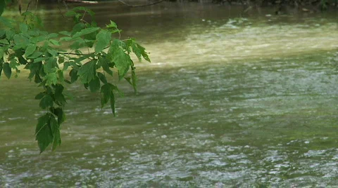 Stream 2 Stock Footage 757784