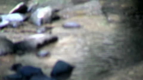 Stream 2 스톡 동영상 12292799