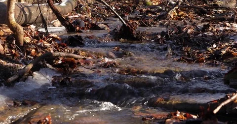 Stream 2 Stock Footage 73273928