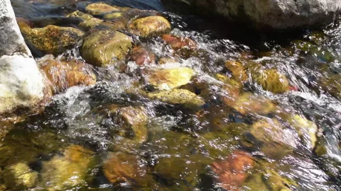 Stream 2 Stock Footage 142304345